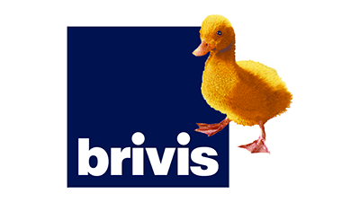 Brivis